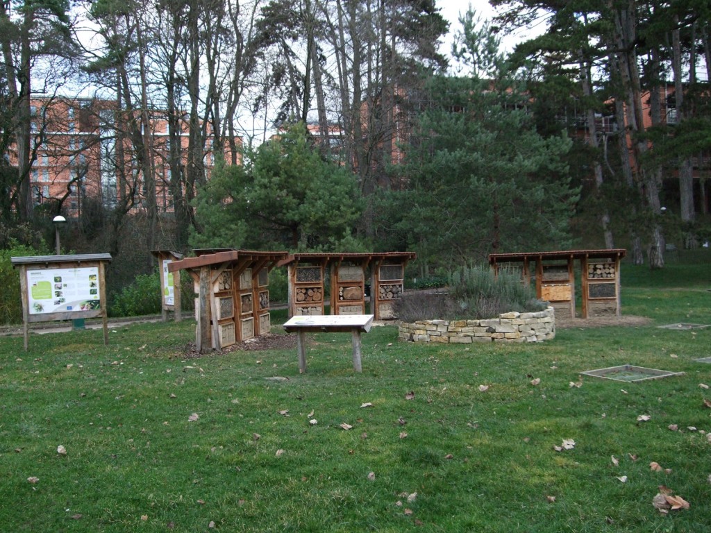 Photographie globale du site Urbanbees au parc de la Tête d'Or de Lyon
