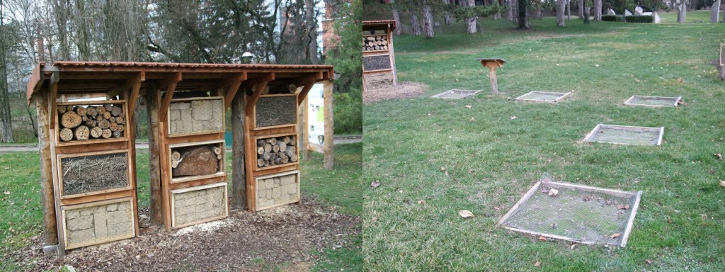 Photographies des hôtels à abeilles et emplacement de nidification au sol.